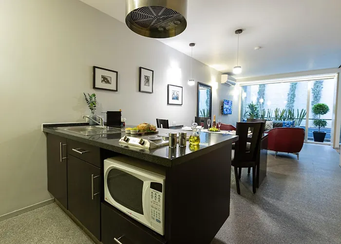 Masaryk 123 Executive Luxury Apartments In Polanco